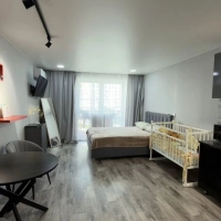 Квартира-студия, 29 м², 3/17 эт.
